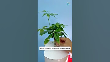 Bộ lọc 3 tầng nước chảy nhỏ giọt yên tĩnh đặt vừa vặn góc bể cá #aquatic #shorts