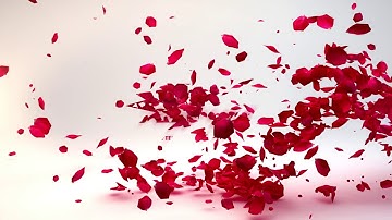 Particle Heart Logo | Logo Intro