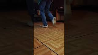 Hell Train Step