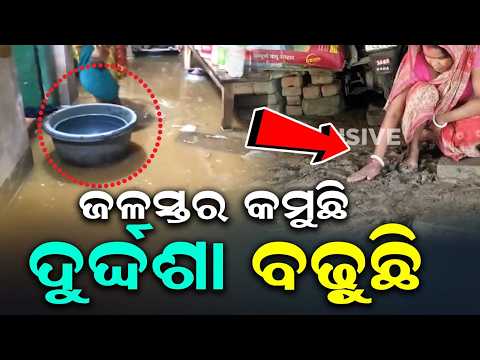Subarnarekha Flood: Baliapal, Bhograi & Jaleswar Villages Inundated | Argus News