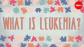 What is leukemia? - Danilo Allegra and Dania Puggioni