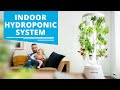 Top 5 Best Indoor Hydroponic Systems in 2023