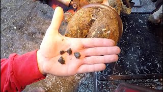 Ep. 42  ALL THESE STONES WERE IN ONE HOOF?