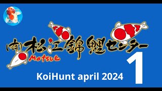 KoiHunt April 2024 deel 1 | Matsue