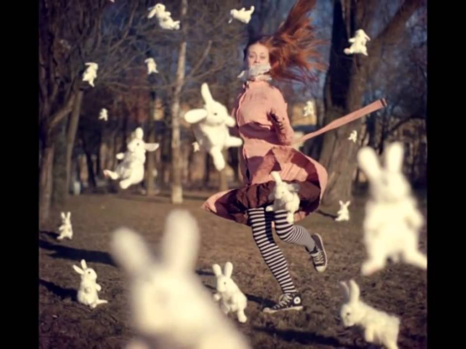 Анка Кошка Фото