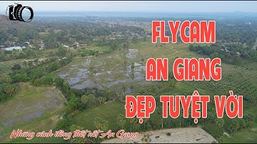 FLYCAM những cánh đồng thốt nốt An Giang TUYỆT ĐẸP