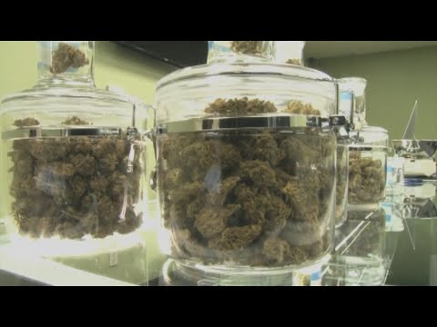 Injunction Blocks NY Cannabis Dispensary Licensing Hearing Set For Friday