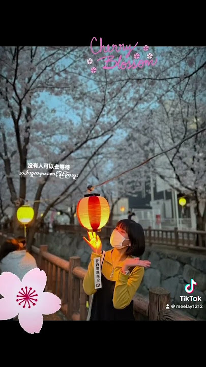 #sakura #lastyear #followme #newchannel #subscribe #thanksforwatching #japan #kagawa #takamatsu #fy
