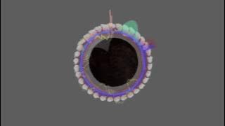 The Breeders - Cannonball (Eclectic Method Remix)