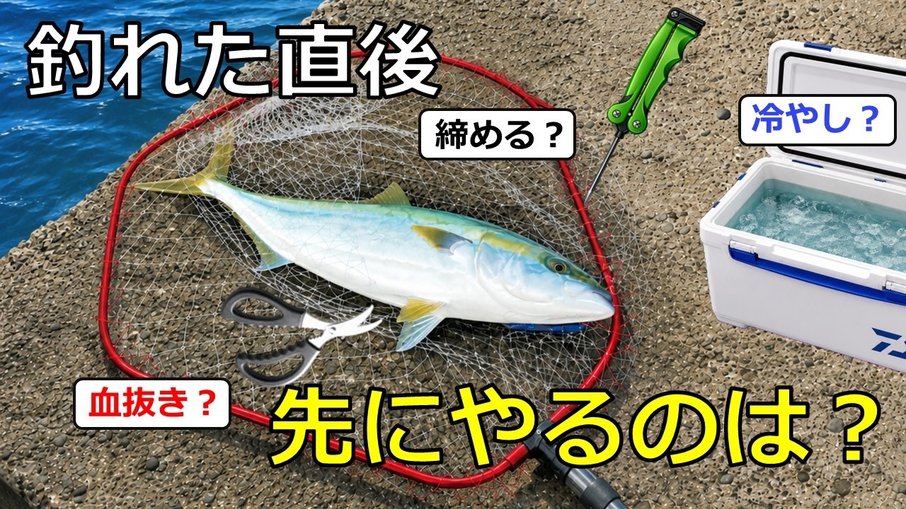 釣れた魚、先にやるのは血抜き?締め?冷やし?科学的な正解を解説