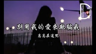 高高在這呢 - 別用我的愛來欺騙我 《其實我早就已經看破 ，你最愛的人不是我》  【動態歌詞】𝄞