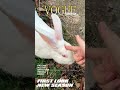My mood instantly fixed by a fluffy bunny 🐰💖#BunnyMoodFix #FluffyVibes #PetJoy