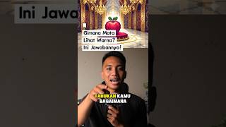 Download Lagu Warna Itu CUMA ILUSI OTAK? 🤯 #faktaunik MP3