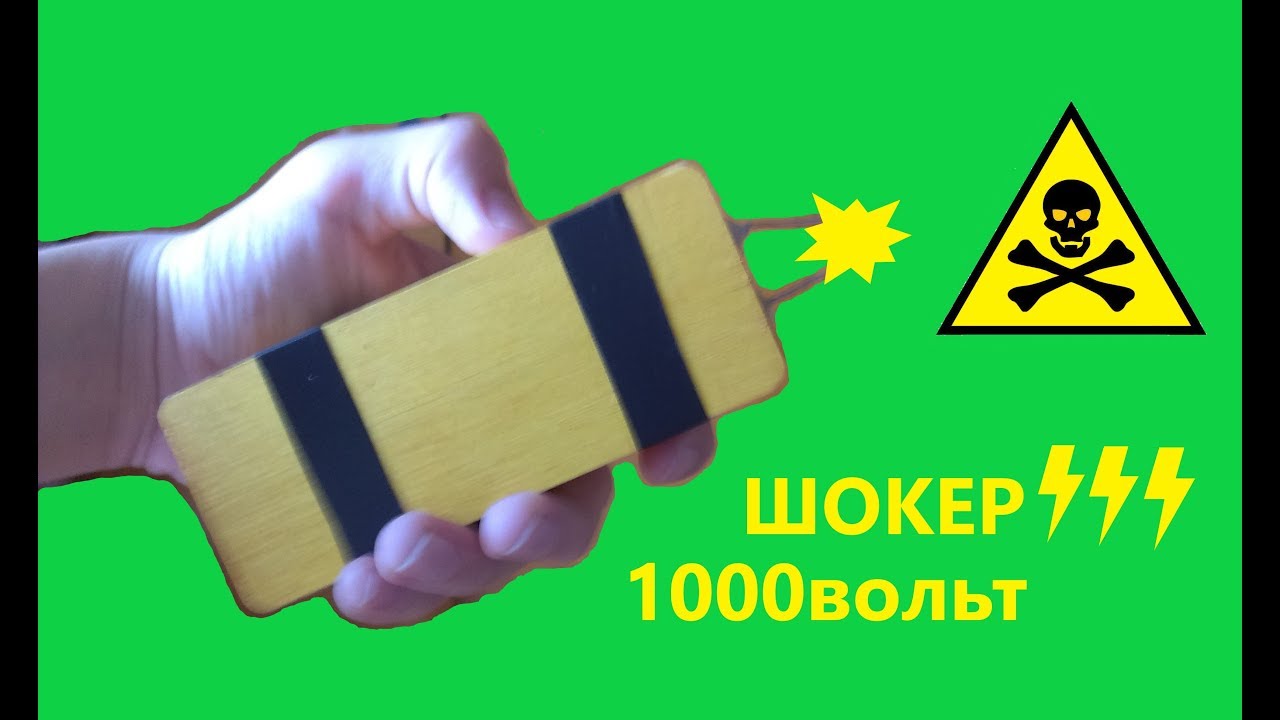 Мухобойка логан 1