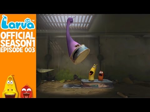 15. Larva: Tanec v daždi