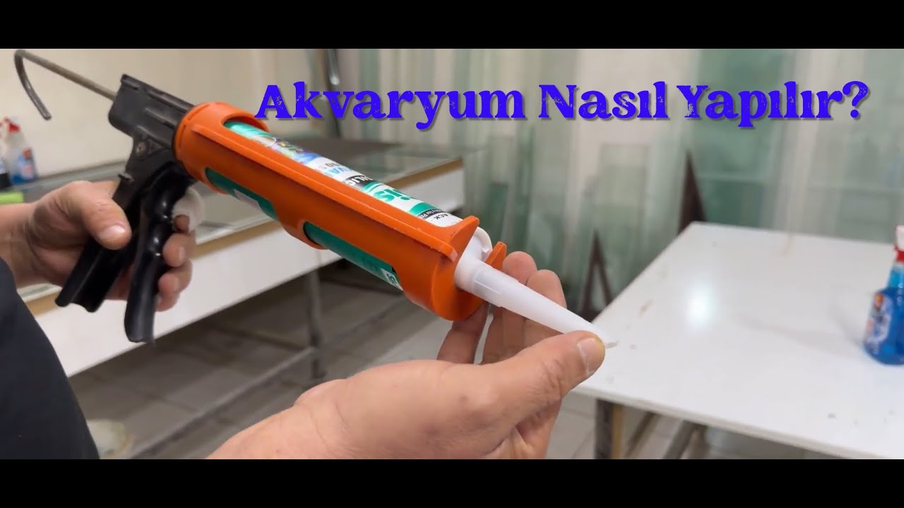 Basit Bir Akvaryum Nasıl Yapılır? VLOG