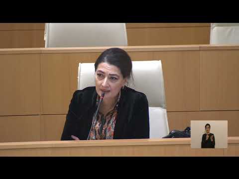 უპირობო მორჩილება ციხის თანამშრომელბის,  კორუფიით ხომ არ არის განპირობებული? -ჩარკვიანი ბრეგაძეს