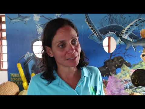 The Work of Glovers Reef Research Station