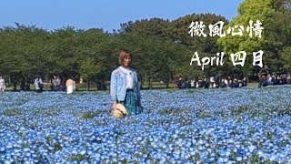Download Lagu 歌名:微風心情、作曲:Martin Lu詞:米妮寶寶、主唱:April 四月。這是屬於我的第一首主唱歌曲。老實說,民歌真的不是我平日唱開的曲風,但人生往往充滿意想不到的驚喜。 Download Lagu 歌名:微風心情、作曲:Martin Lu詞:米妮寶寶、主唱:April 四月。這是屬於我的第一首主唱歌曲。老實說,民歌真的不是我平日唱開的曲風,但人生往往充滿意想不到的驚喜。