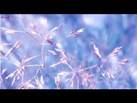 Ferrous - Edge