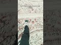 buzdolabına kadar değilmiş çekin ve görün 🥰