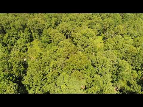 Drone Video Tracts 7 and 8 at Pine Grove - Owner Financed Real Estate!
