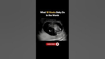What 18 Weeks Baby Do in the Womb 😅