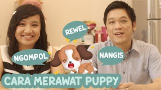 CARA MERAWAT ANAK ANJING BARU DI RUMAH  | EDEL TIPS