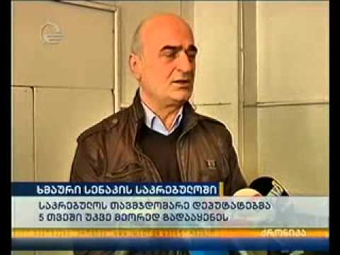 ხმაური სენაკის საკრებულოში