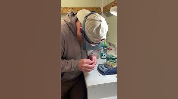 Bird Banding at the Kalamazoo Nature Center