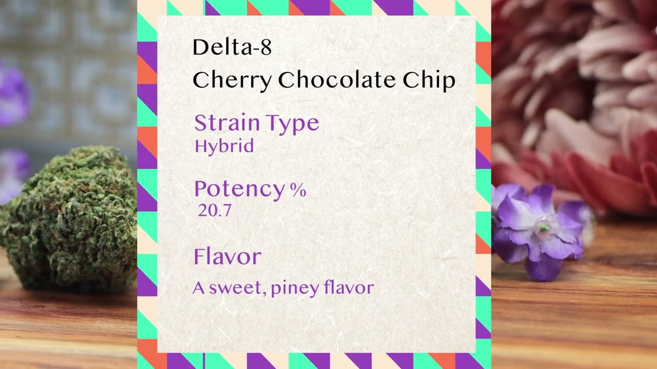 Cannessentials - Delta 8 Cherry Chocolate Chip