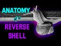 Anatomy of a reverse shell #ethicalhacking #linux #firewall