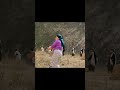 कहाको साईनो | nepali new song | new nepali song | nepali song #shorts #nepalisong