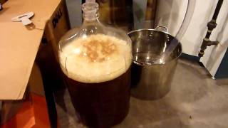 Primary fermentation at 17 hours