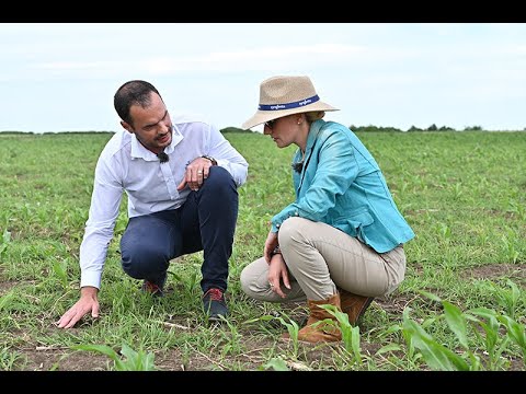 Video: Pe ce se bazează hărțile solului?