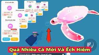 (Play Together) Quá Nhiều CÁ MỚI Anh Đào Và ẾCH HIẾM