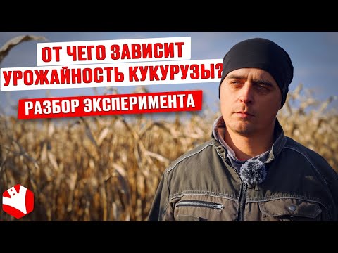 От чего зависит