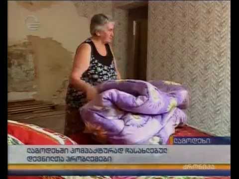 ლაგოდეხში კომპაქტურად ჩასახლებულ დევნილთა პრობლემები