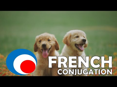 Your daily 10 min of French conjugation # Futur simple # 13