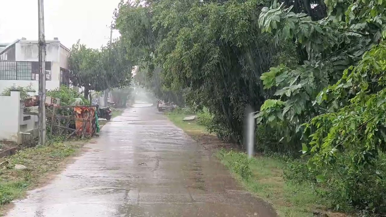 shimoga rain news | ಶಿವಮೊಗ್ಗ | 17/07/2026 ರ ಮಧ್ಯಾಹ್ನದ ಮುಂಗಾರು ಮಳೆ... |