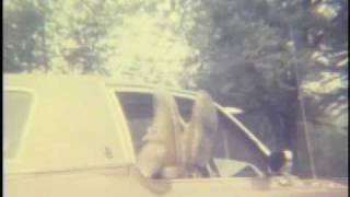 Vintage Indiana University 1970s - IU 1977