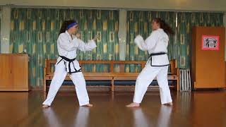 6th Kup Grading Techniques