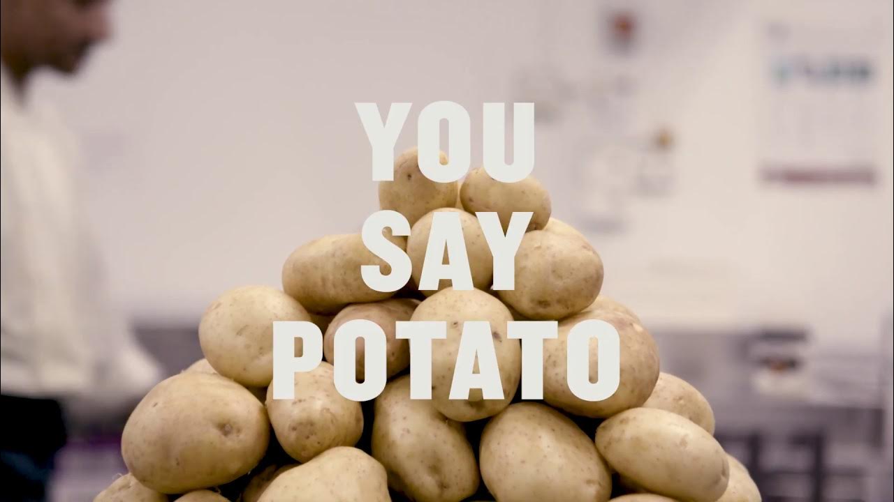 You Say Potato YouTube