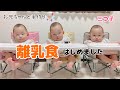 【初体験】三つ子の離乳食はじまりました❣️3人どんな反応するかなぁ?？、