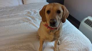 Hampton Inn Barrie