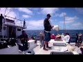 Searcher sportfishing 2011