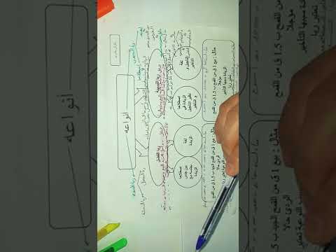 ملخص حول أنواع الربا