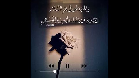 قران كريم (والله يدعو الى دار السلام)عبدالرحمن مسعد✨