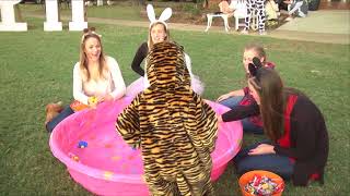 Fall Festival - TROY TrojanVision News