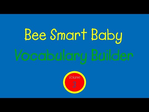 Bee Smart Baby - Vocabulary Builder: Vol. 3 (1999)